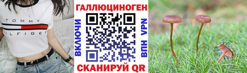 Галлюциногенные грибы Cubensis хочу наркоту Сочи